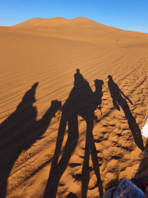 Long shadows of riders on camels cast over rippled desert sand at sunset.