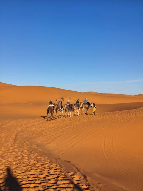 Caravan of tourists riding camels across golden dunes beneath a bright blue sky