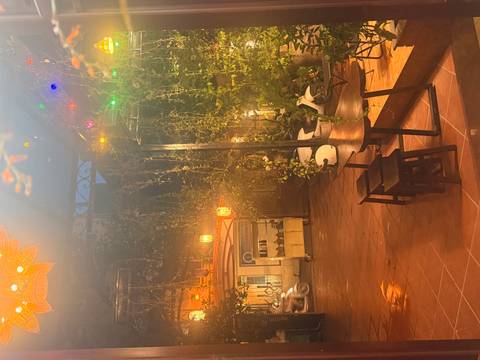 Cozy outdoor courtyard at night with string lights, vines, and parked scooters beside small tables.