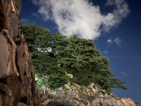 Pine trees atop a rocky cliff are illuminated under a moonlit, cloud-filled night sky.