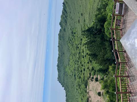 A high viewpoint looks across a lush green volcanic crater toward the distant ocean horizon.