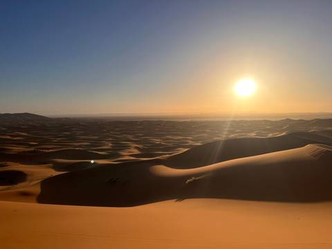 Golden sunlight washes over endless rolling sand dunes in the Sahara during sunset.