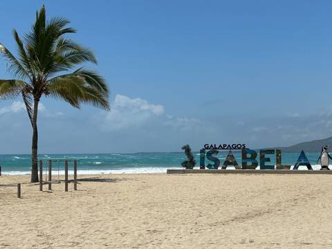 Daytime view of a sandy beach with a palm tree, turquoise waves, and the colorful 'Isabela' Galapagos sign.