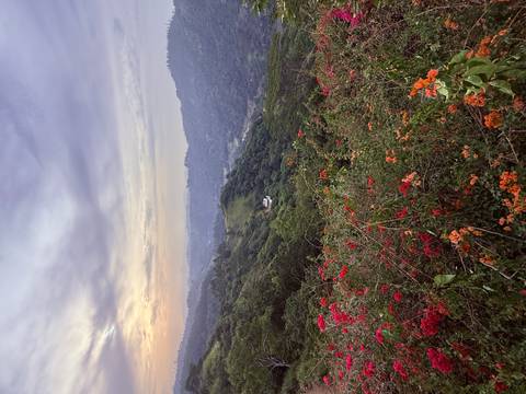 Wildflowers bloom in the foreground of a rolling green valley beneath a soft pastel evening sky.