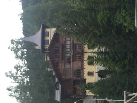 Soft-focus image of a wooden alpine chalet set among dense conifer forest on a cloudy day