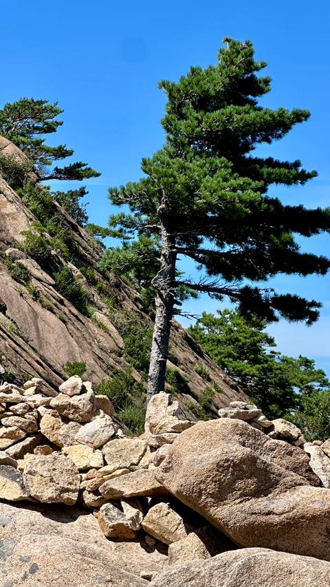 Klantbeoordelingsfoto van Avonturenreis door Zuid-Korea - van Seoul naar het eiland Jeju - 12 dagen