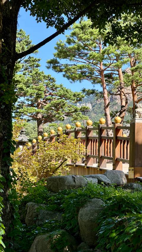Klantbeoordelingsfoto van Avonturenreis door Zuid-Korea - van Seoul naar het eiland Jeju - 12 dagen
