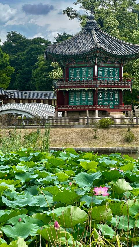 Klantbeoordelingsfoto van Avonturenreis door Zuid-Korea - van Seoul naar het eiland Jeju - 12 dagen