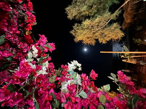 Bright bougainvillea arch framing full moon and shimmering sea at night.