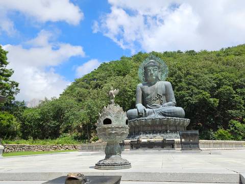 Large bronze seated Buddha statue set against a forested hillside under a bright sky.