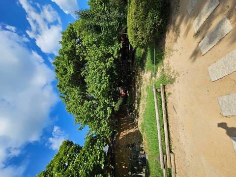Shaded garden area with large tree and scattered benches under a bright summer sky.