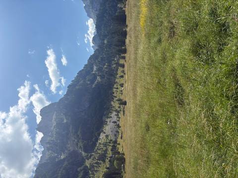 Open alpine meadow stretches toward towering forested mountains under scattered clouds.