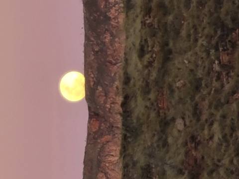 Large yellow moon setting behind rocky ridge at twilight