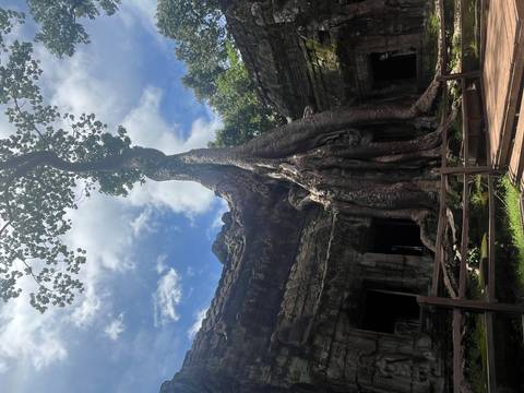 A massive tree with sprawling roots engulfs ancient stone structures at Ta Prohm temple under a partly cloudy sky.