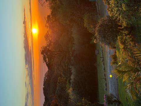Vibrant sunset over lush Costa Rican cloud-forest hills with golden light filling the sky.