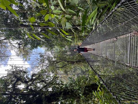 Traveler walking across a hanging metal suspension bridge surrounded by dense cloud-forest vegetation.