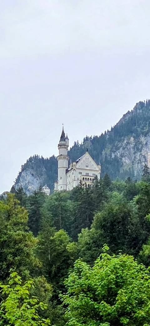 11-Day Europe by Train: Milan to Prague via Zurich, Munich & Vienna customer review photo