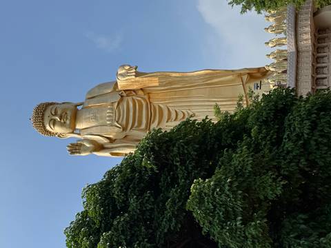 Towering golden standing Buddha statue with hand raised above treetops.