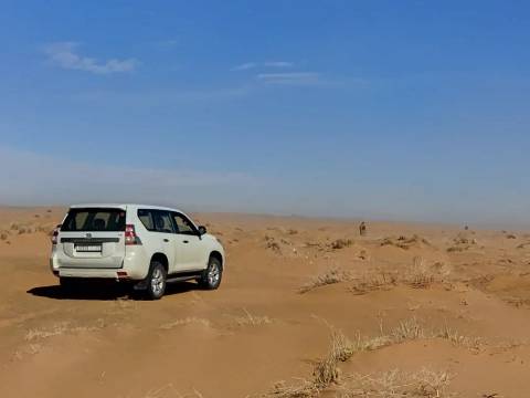 White 4x4 vehicle parked on open desert terrain with distant sand dunes and a bright sky.