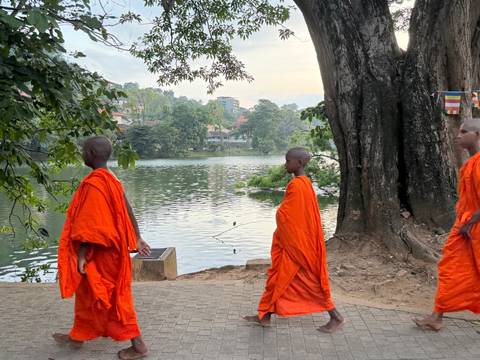 Three Buddhist monks in bright orange robes walk along a lakeside path beneath a large tree