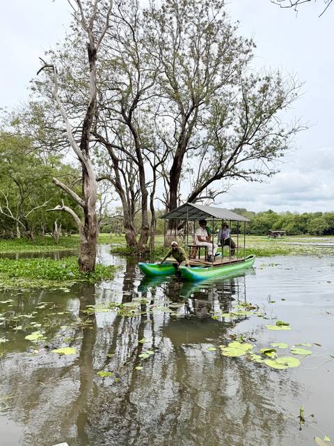 Small green catamaran with canopy carrying passengers across a calm, tree-lined lagoon