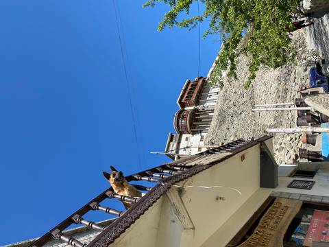 Dog peers over wooden balcony of a stone house set against a steep hillside and clear blue sky.