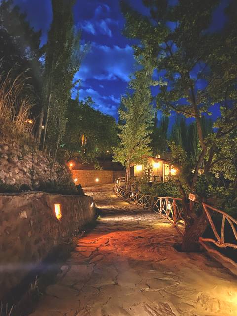 Stone pathway lit by warm lanterns winds through leafy garden at night.