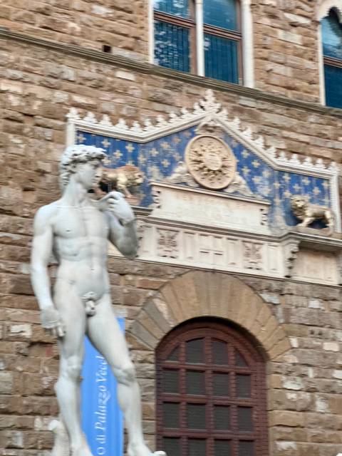 Slightly blurred image of Michelangelo's David replica before decorative blue panel