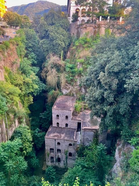 Ruined stone mill covered by lush green vegetation in a deep forested gorge