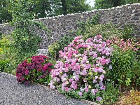 Colorful hydrangea and lily flower beds against a rustic stone wall in a garden