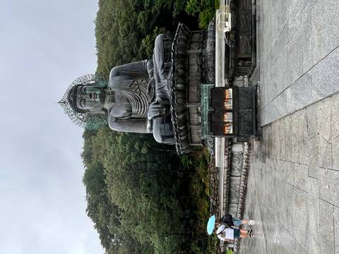 Large seated bronze Buddha statue in front of forested hillside with a visitor nearby on a gray day.