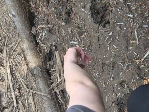 Close view of person's arm pointing at dry cracked mud and twigs on ground.