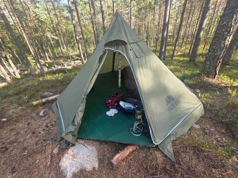 Green canvas tipi-style tent set up within pine forest clearing.