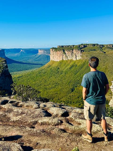 Traveler standing on rocky cliff viewpoint overlooking vast green canyon and mesas.