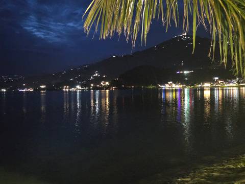 Nighttime lake illuminated by colorful reflections from hillside buildings under a dark sky framed by palm fronds.