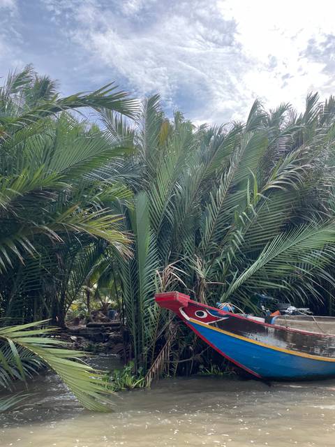Dense cluster of tall palm fronds with the front of a small wooden boat barely visible