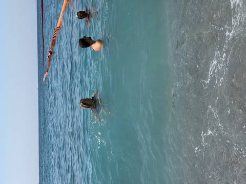 Two swimmers enjoying clear turquoise sea water near the shore