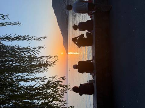 Silhouetted friends sitting under willow branches watching the sun set over a tranquil lake