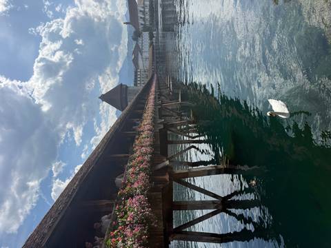 Historic wooden Chapel Bridge with flower boxes and a swan gliding on reflective water below
