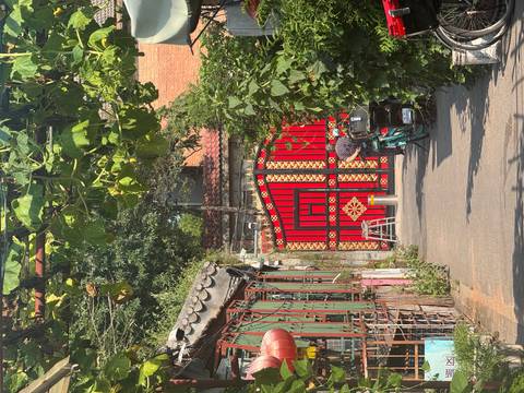 Quiet Beijing hutong alley with striking red patterned gate framed by vines and traditional houses.
