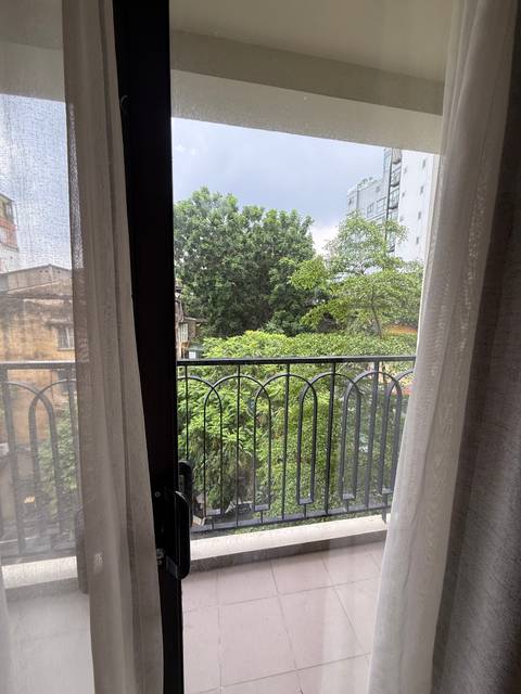 Balcony view through sheer curtains overlooking leafy urban greenery.