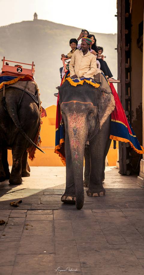 Close view of a richly painted and draped elephant within the Amber Fort area.