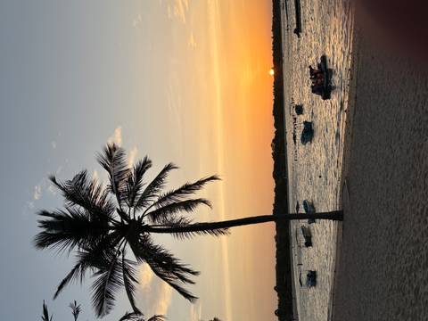 Silhouetted palm tree and small boats at the shore during a warm orange sunset.
