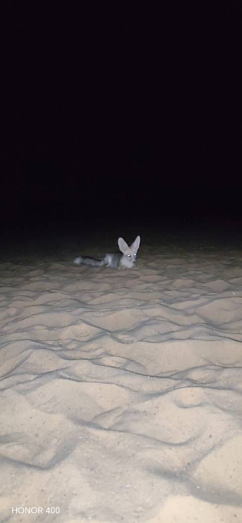 2 Days Black and White Desert Camp Star Watching customer review photo