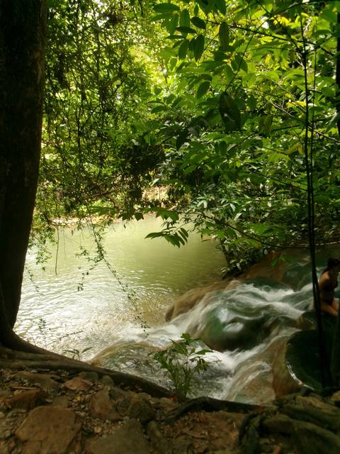 Lush jungle stream and cascading water with a swimmer partially visible on the right