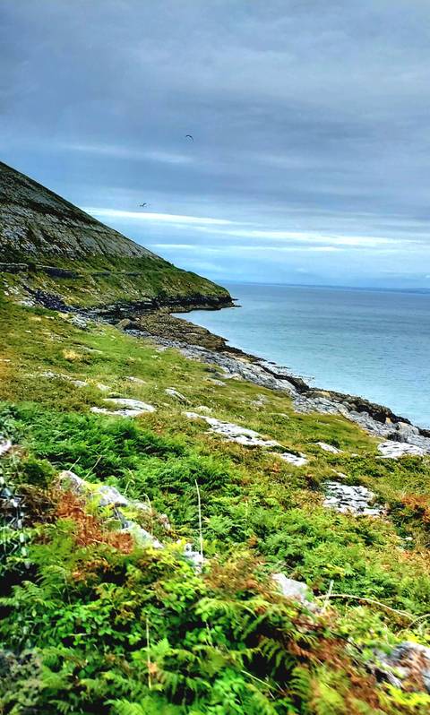 Rocky green hillside dropping to a calm blue sea beneath a bright but slightly cloudy sky