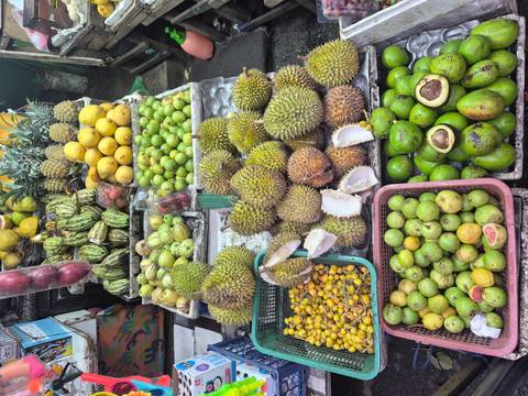 Colorful tropical fruit stall stacked high with durians, avocados, mangos and pineapples at a local market.
