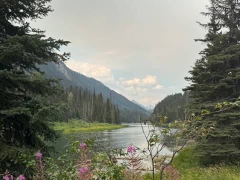 Calm river winding through a pine forest with mountain ridges in soft afternoon light and scattered clouds.