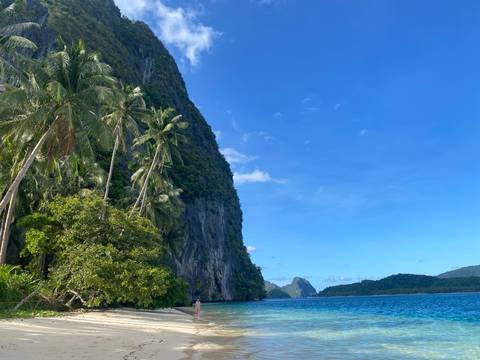 Verdant limestone ridge rising from turquoise sea with palm trees in the foreground against a clear blue sky.