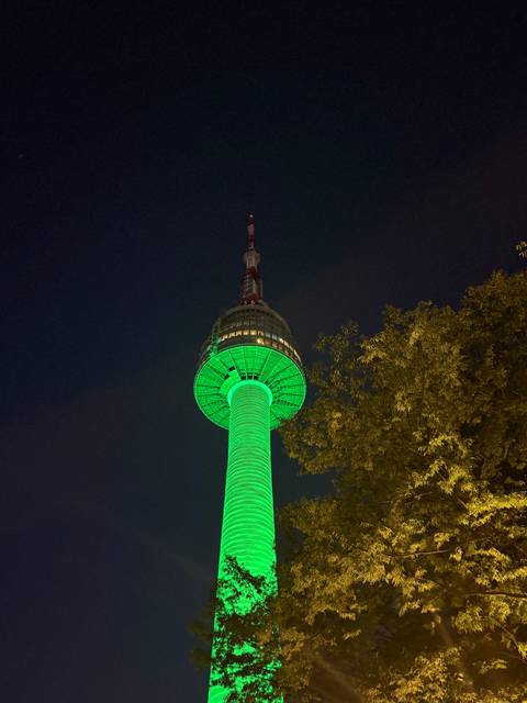 Night view of illuminated N Seoul Tower glowing green above trees